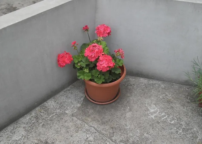 Appartement Maja *