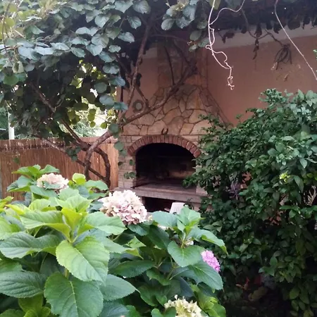 Apartamento Maja *
